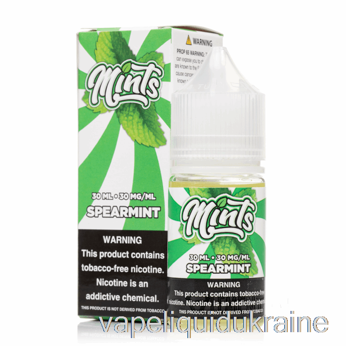 Vape Ukraine Spearmint Salts - Mints Vape Co - 30mL 30mg